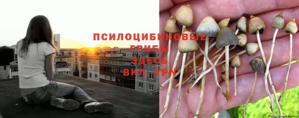 мдпв Зеленокумск