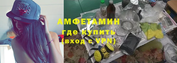 прущие грибы Зерноград