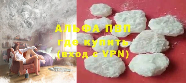 прущие грибы Зерноград