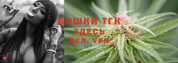 прущие грибы Зерноград