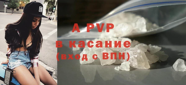 прущие грибы Зерноград