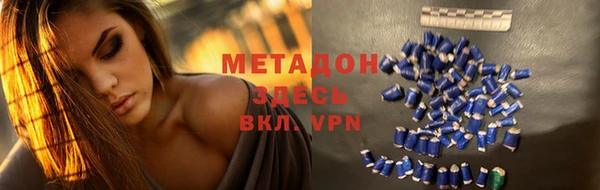 прущие грибы Зерноград