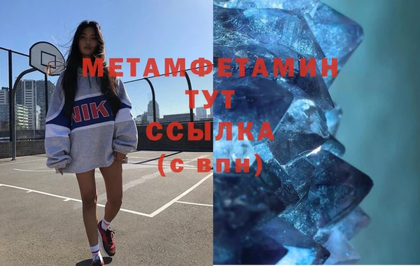 гидра Инта