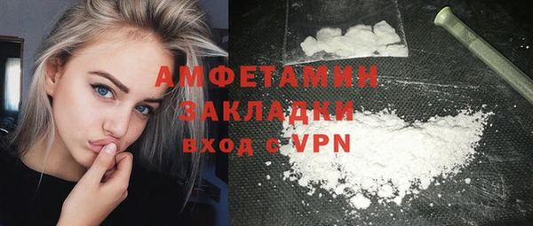 прущие грибы Зерноград