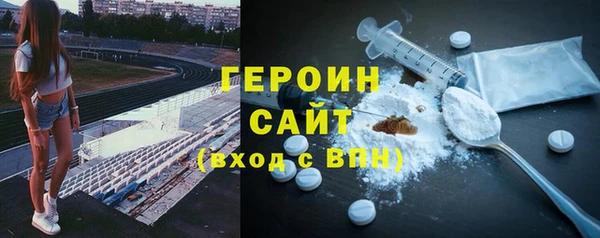 гидра Инта