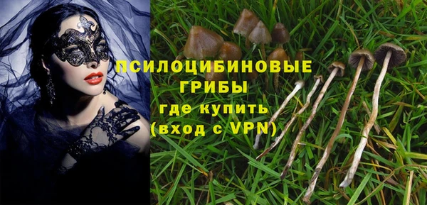 прущие грибы Зерноград