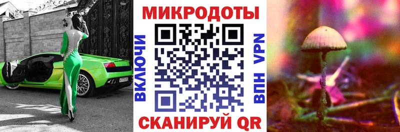 Псилоцибиновые грибы ЛСД  Купить  Болохово 